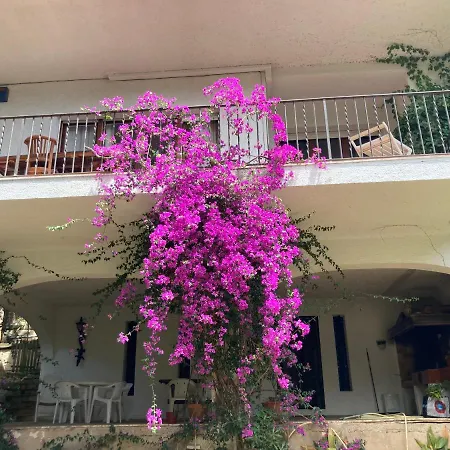 Apartment La Casa Bonita *