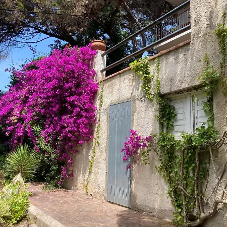 La Casa Bonita *